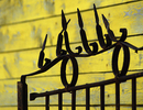 Wrought iron fence